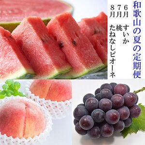 【発送月固定定期便】和歌山の夏の人気フルーツ定期便 全3回【配送不可地域：離島・北海道・沖縄県】【4004345】
