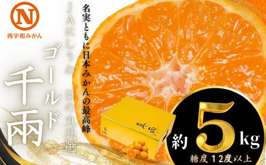 
            JAにしうわの季節の柑橘(日の丸共選「ゴールド千兩」約5kg)＜F08-45＞_ みかん ミカン 柑橘 フルーツ くだもの 果物 ふるーつ 青果 果実 甘い ジューシー 産直 産地直送 旬 柑橘類 人気 愛媛 果汁 八幡浜市 JA 農協 【1443339】
          