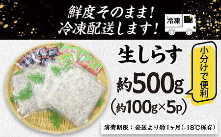 高知産「生シラス」イワシ稚魚100g×5パック入り (タレ付) [ATBX003]