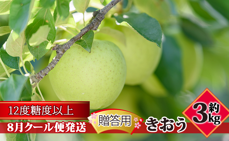 【8月クール便発送】（糖度12度以上）贈答用きおう約3kg【弘前市産 青森りんご】