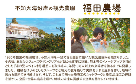 調味料 ポン酢 果汁 たっぷりの ぽんす 早摘みデコ 300ml 6本 《30日以内に出荷予定(土日祝除く)》熊本県 水俣市 津奈木町 福田農場 しょうゆ 瓶 水炊き 唐揚げ カツオのタタキ たれ ポ