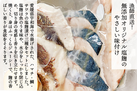 ＜漁師直送 保存料無添加 塩麹 3種セット＞※1か月以内に順次出荷 魚 詰め合わせ 海鮮 海産物 海鮮セット ハマチ 鯛 サワラ 二ノ宮商事株式会社 愛媛県 西予市 【冷凍】 ANS0005