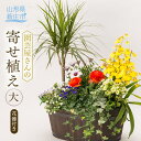 【ふるさと納税】園芸屋さんの寄せ植え大 植物 花 寄せ植え 園芸 贈り物 山形県 新庄市 F3S-0591