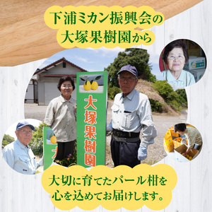 S040-022A_農家の手摘み パール柑 9kg以上〈先行予約〉