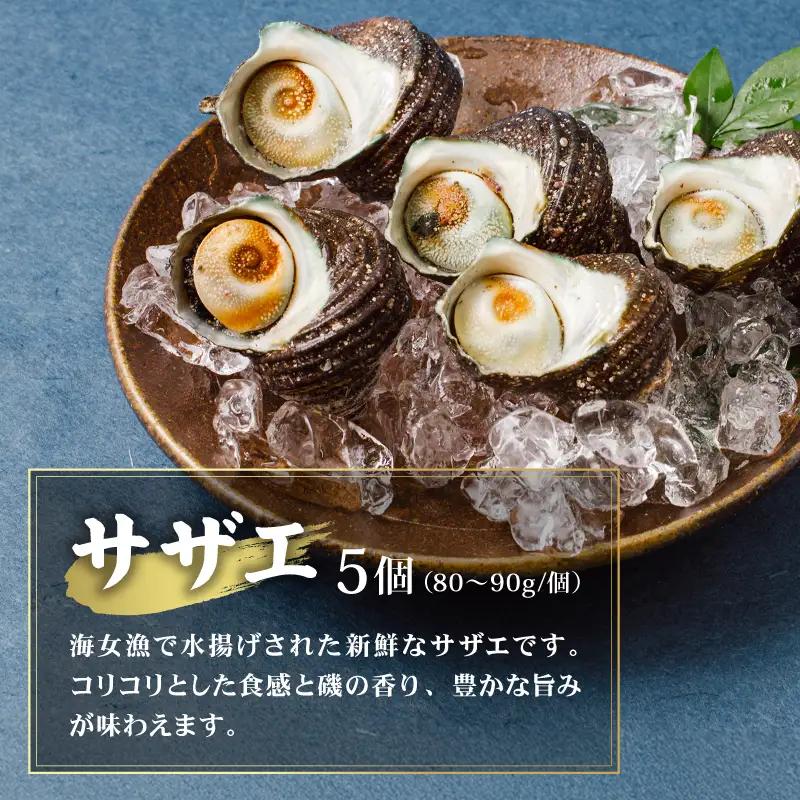 貝詰め合わせセット カンカン焼き 冷凍 牡蠣 サザエ 檜扇貝 的矢牡蠣 伊勢 志摩 三重 新鮮 ヒオウギ貝 貝 貝 BBQ アウトドア 