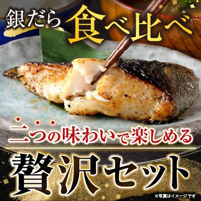 ふるさと納税 根室市 塩銀だら9切&銀だらみりん漬け9切セット B-09060 |  | 01
