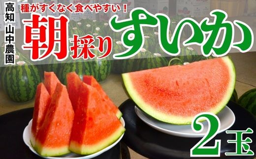 
                  103002 山中農園のスイカ ２玉 種が少ない  ２玉 すいか 西瓜 フルーツ 産地直送 完熟 糖度 リピーター率高い 甘い 大玉/高知県 奈半利町
                