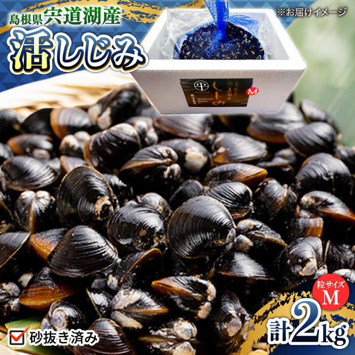 【ふるさと納税】シジミ 宍道湖産活大和しじみ(M)2kg(砂はき済み) 島根県松江市/平野缶詰有限会社[ALBZ015]｜ しじみ シジミ 大和しじみ ヤマトシジミ しじみ汁 味噌汁 みそ汁 疲労回復 肝臓 健康 健康食品 とれたて おすすめ 人気 ギフト 贈答 贈り物 島根 松江