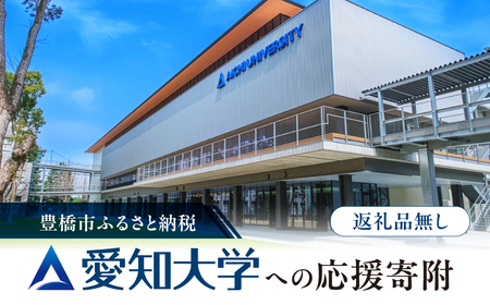 ≪返礼品無し≫【愛知大学】豊橋市大学応援寄附 10000円 大学寄附 愛知県豊橋市への寄附 返礼品無し 寄附のみ 豊橋市 穂の国 東三河 10000円 ポッキリ 愛知県 豊橋市