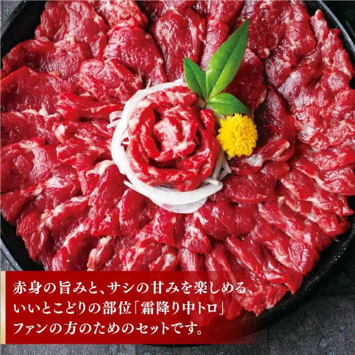 霜降り馬刺しセット 計500g [ZBK034]