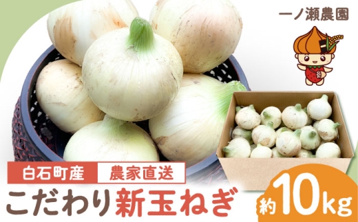 【農家直送！】こだわり 新玉ねぎ（サイズ混合）約10kg 【一ノ瀬農園】 [IBQ012]