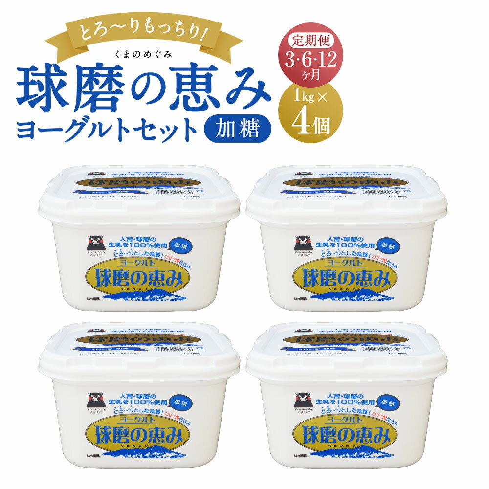 【ふるさと納税】【3・6・12ヶ月定期便】球磨の恵みヨーグルトセット 送料無料 ヨーグルト 乳製品 乳酸菌 健康 免疫力 加糖1kg×4個