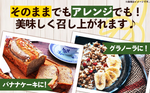 国産 希少種！南国フーズのアップルバナナ 約3kg - バナナ ばなな 小ぶり 沖縄県 産地直送 果物 フルーツ 南国 朝食 おすすめ 沖縄県 八重瀬町