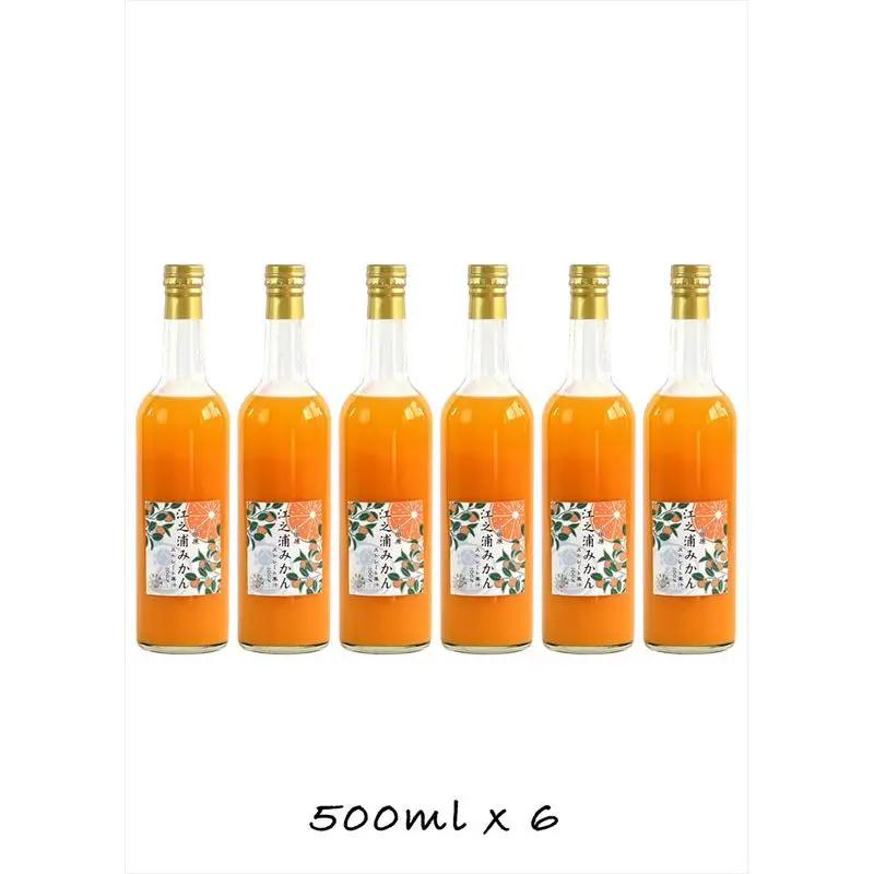 【定期便 （2カ月ごと全6回）】小田原産江之浦みかん１００％ストレートジュース５００ml６本【みかんジュース みかんジュース 神奈川県 小田原市 】