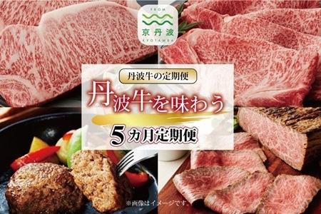 【5回定期便】丹波牛を味わう定期便 【牛肉 牛定期便 バラエティ 黒毛和牛 牛肉定期便 ギフト  贈り物 定期便  】 [123IZ001R]