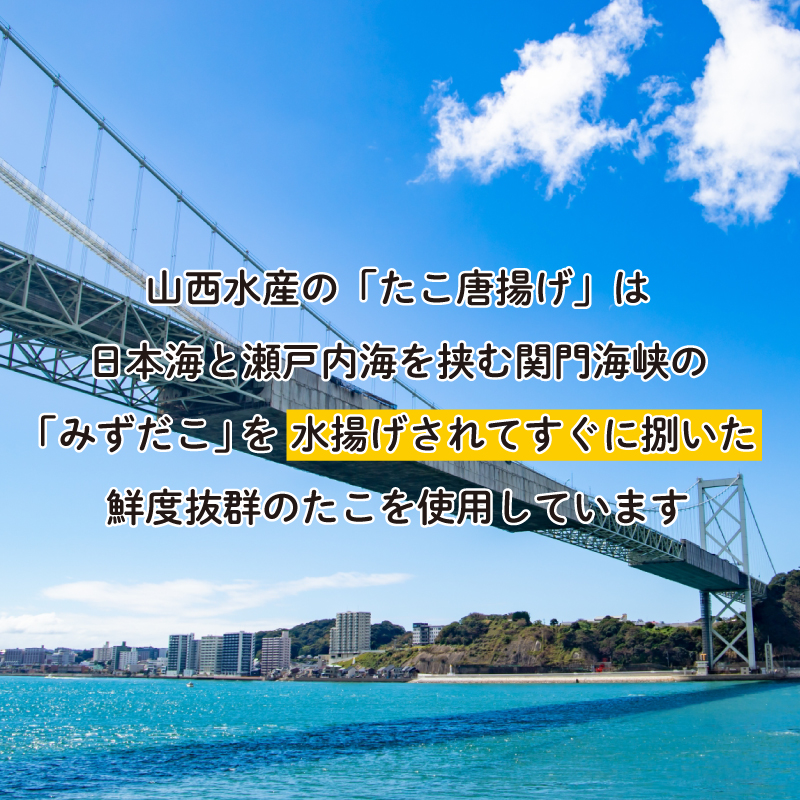 たこ 唐揚げ 1.6kg 冷凍 小分け 蛸 タコ からあげ カラアゲ つまみ おかず 下関 山口 【容量：1.6kg】