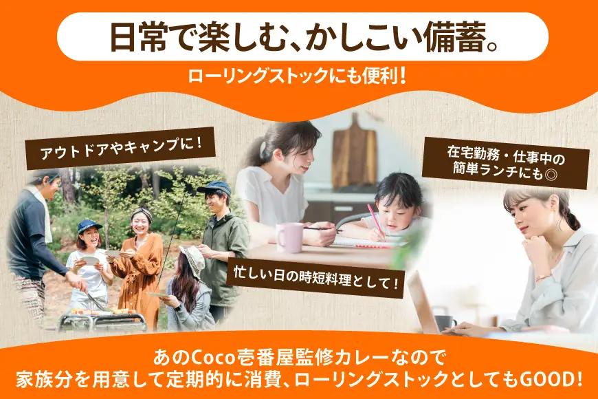Coco壱番屋監修 尾西のカレーライス 3食 セット