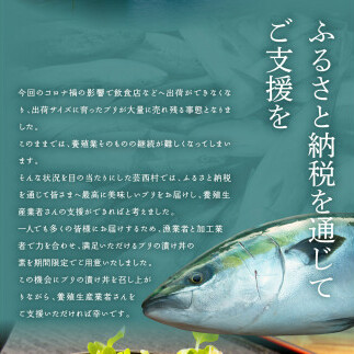 緊急支援 海鮮「ブリの漬け丼の素」1食80g×5P《迷子のブリを食べて応援 養殖生産業者応援プロジェクト》コロナ応援  惣菜 そうざい冷凍 保存食 小分け パック 高知 海鮮丼 一人暮らし〈高知市共通