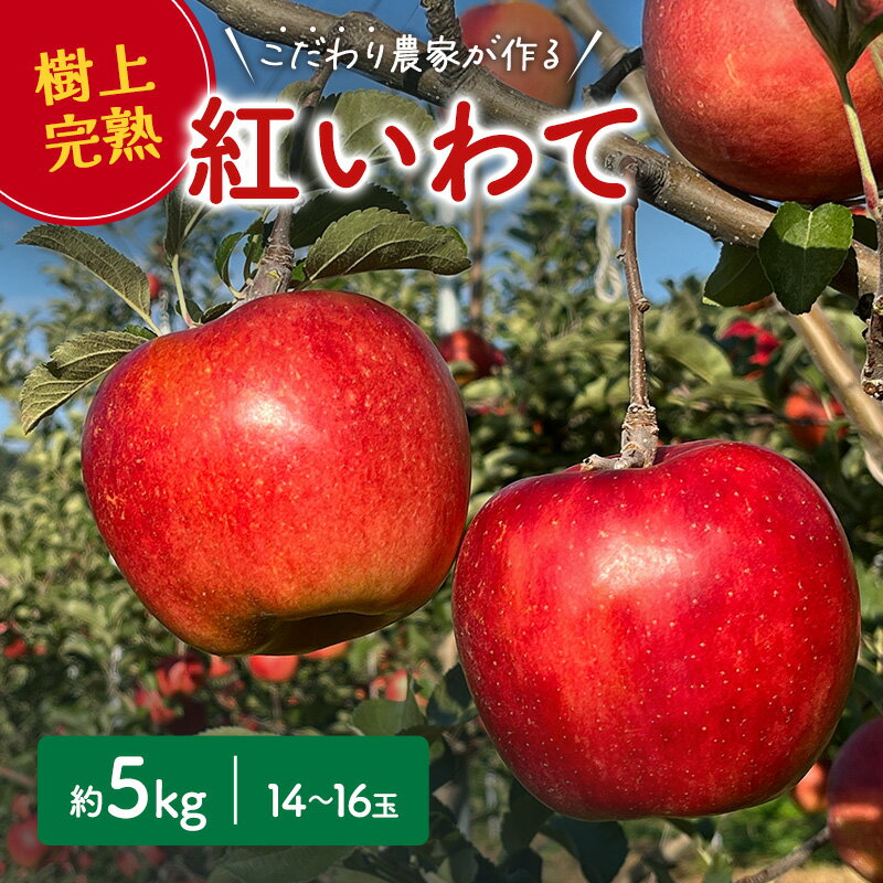 【ふるさと納税】 先行予約 紅いわて りんご 5kg 14〜16玉 盛岡りんご 贈答 生産者直送 林檎 リンゴ 果物 フルーツ 旬の果物 岩手県 盛岡市 東北 岩手 盛岡 峰崎果樹園 minezaki001
