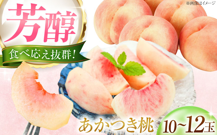 藤渕果樹園のあかつき桃 10〜12玉入り 〈2026年7月〜発送〉 ／ フルーツ 果物 くだもの 食品 人気 おすすめ 送料無料 桃 もも あかつき桃 モモ 季節のフルーツ 四国 愛媛県 内子町 【株式会社内子フレッシュパークからり】 [BKAD059]