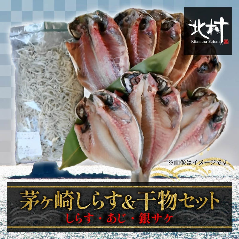 【ふるさと納税】茅ヶ崎しらす・干物セット 魚貝類 アジ