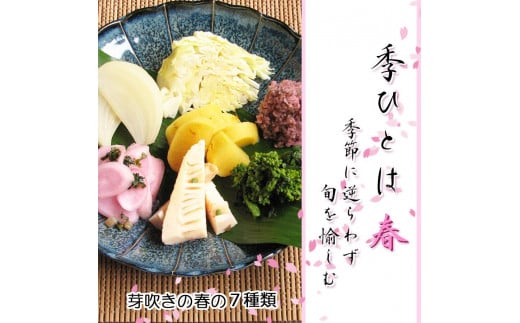 【千枚漬本家 大藤】《5/31まで》京都の漬物7種詰合せ「季ひとは　春」［ 京都 老舗 漬物 つけもの 漬け物 野菜 京野菜 セット 人気 おすすめ お取り寄せ 通販 送料無料 ふるさと納税 ］