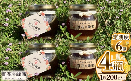【定期便6回】日本ミツバチの百花蜂蜜 4瓶 (200g入) | 定期便6回 ハチミツ はちみつ ミツバチ 純度100％国産 無添加 栃木県 下野市