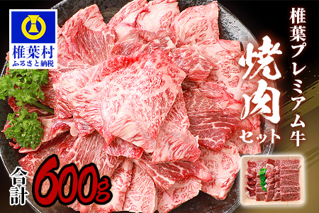 宮崎県産 椎葉プレミアム牛 焼肉セット 600g ［宮崎県 椎葉村 国産 国産牛 黒毛和牛 和牛 牛 牛肉 赤身 肉 お肉 a4 A4 冷凍 焼肉 焼肉セット セット］【TK-40】