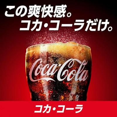 ふるさと納税 久御山町 【毎月定期便】コカ・コーラ500mlPET24本入り全3回 |  | 01