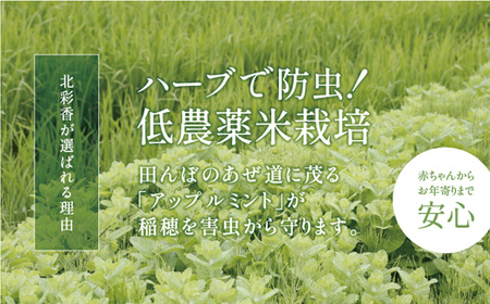 2026年2月発送 令和7年産 ゆめぴりか 白米 10kg 【北彩香】| 妹背牛産 北海道 米 道産 特A
