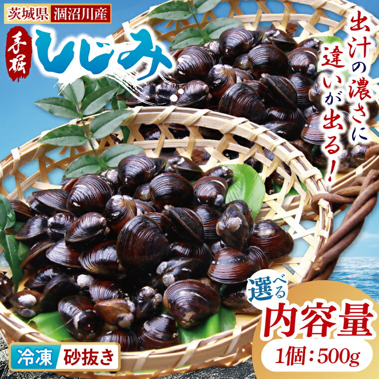 【ふるさと納税】【選べる内容量・回数】茨城県涸沼川産 だしの濃さに違いが出る！手掘しじみ（砂抜き）150g×5個（750g）・150g×10個（1500g）｜1回・3回定期便・6回定期便【涸沼川 シジミ オルニチン 味噌汁 スープ 茨城県 水戸市】（MS-1）