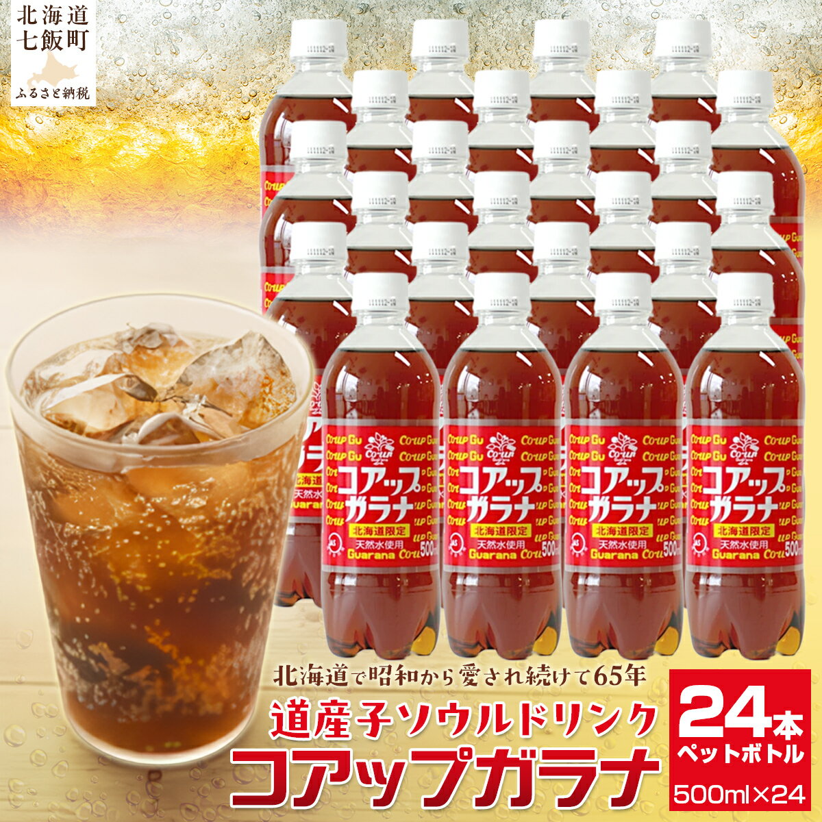 【ふるさと納税】 コアップガラナ24本セット（500mlペットボトル） ふるさと納税 コアップガラナ ガラナ 500ml×24本入 ペットボトル 24本 NAQ003