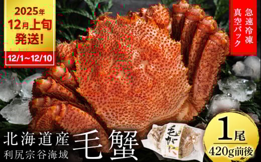 【2025年12月1日～12月10日発送】毛ガニ 小小サイズ（420g前後） 1尾＜利尻漁業協同組合＞