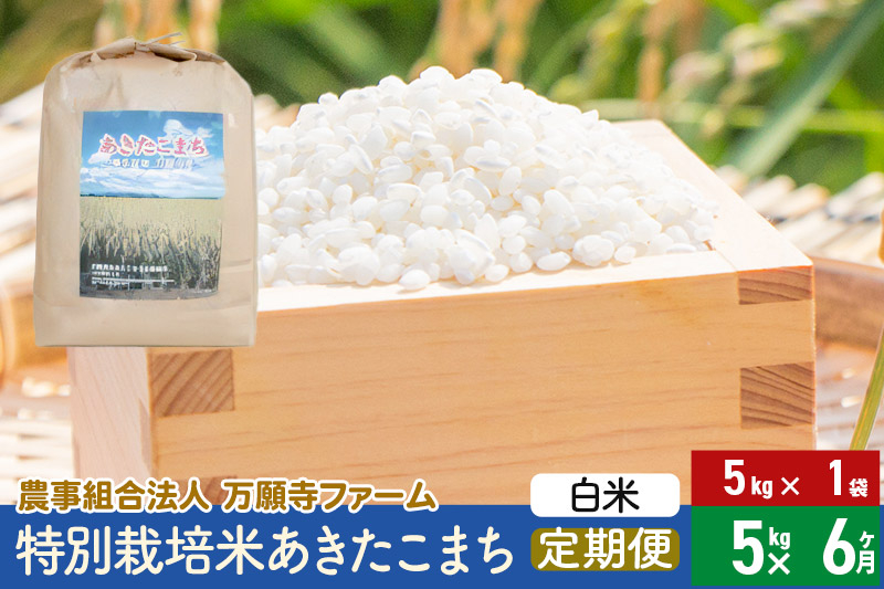 
            【白米】《定期便6ヶ月》令和6年産 特別栽培米あきたこまち 5kg（5kg×1袋）×6回 計30kg 6か月 6ヵ月 6カ月 6ケ月
          