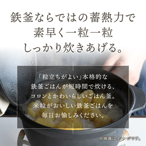 南部鉄器 南部ごはん釜5合炊 IH調理器 伝統工芸品 [Z0049]