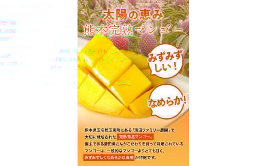 くまもと完熟マンゴー 5～6玉(約2kg～2.4kg前後) 『清田ファミリー農園』秀品【日付指定不可】《5月下旬-8月末頃出荷》---sg_ckmango_cf58_25_50000_2kg---