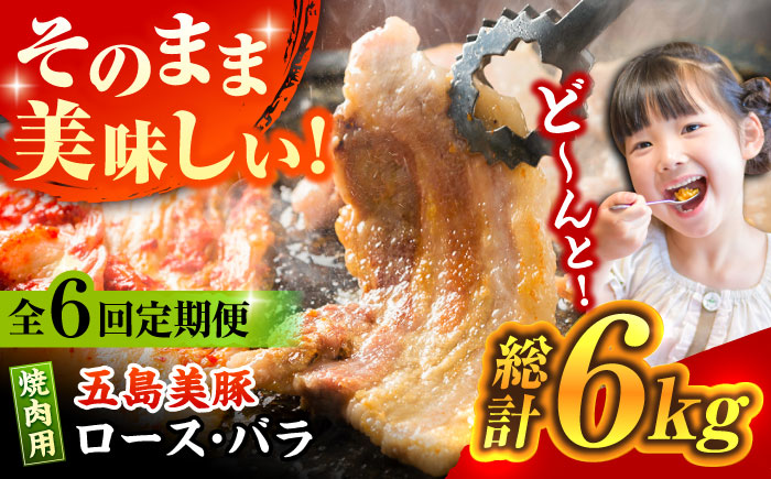 【全6回定期便】【ふわっとまろやかな口どけ。五島の自然の恩恵をうけた豚肉！】五島美豚 焼肉セット （ロース・バラ 1kg×6回 計6kg）【ごとう農業協同組合】 [PAF011]