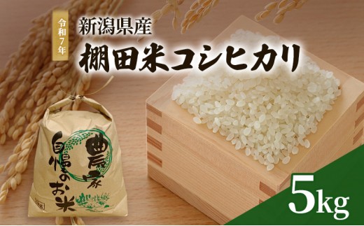 
                  令和7年 新潟県産 棚田米 コシヒカリ 5kg 5キロ 米 上越市 清里区 厳選 こしひかり 白米 精米
                