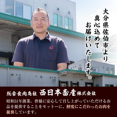 ふるさと納税 佐伯市 塩糀 ハンバーグ (合計1.2kg・120g×10個 ハンバーグソース×10個付) |  | 03