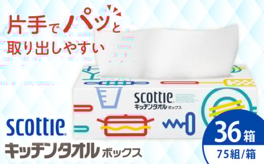 【12月23日(火)ご入金確認分まで年内発送】 スコッティ キッチンペーパー キッチンタオルボックス 36箱 スコッティ キッチンペーパー キッチンタオル 日用品 消耗品 大容量 吸収力 破れにくい 長持ち 掃除 便利 高評価 開成町  [BDBH003-1]