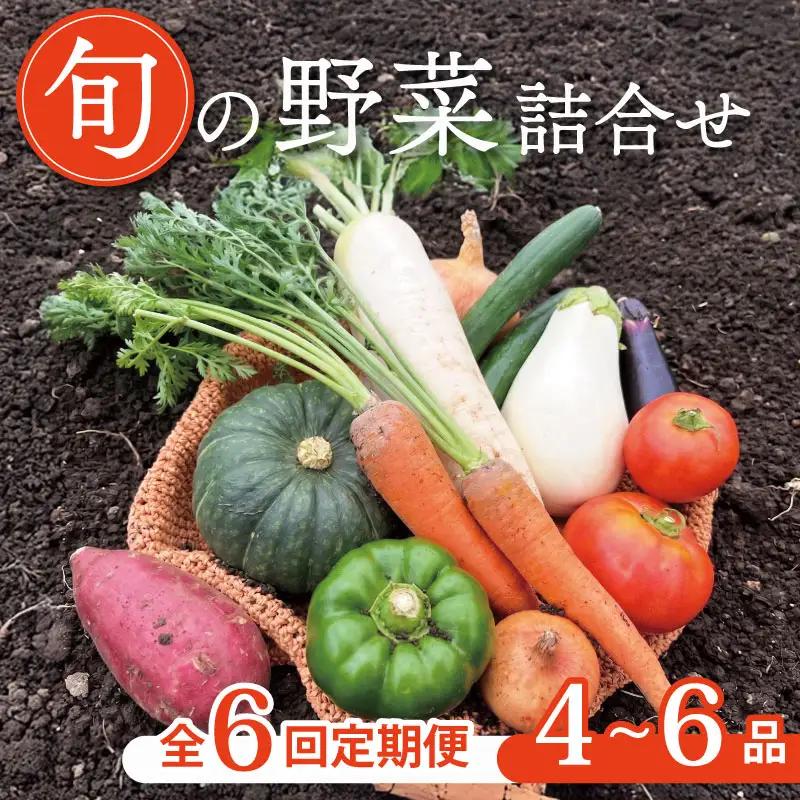 【定期便6回】京野菜セット 4~6種  定期便 レギュラーコース 野菜定期便