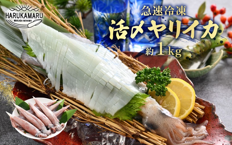 
                  【先行予約】イカ お刺身で食べる 天然 ヤリイカ 約1kg 【2027年2月中旬以降順次発送予定】入手困難 活きたイカをご提供している漁師が活〆！急速冷凍 鮮度格別！若狭湾 福井 地物 海鮮 個別包装 真空パック 刺身 イカ丼 いか丼 焼きイカ 焼きいか 姿焼き 煮付け フライ 炒め物 [m36-b009]
                