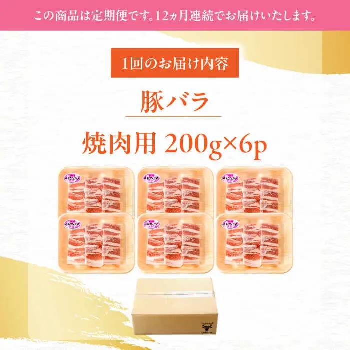 【定期便】 焼肉用 豚バラ肉 総計14.4kg NAC606 豚肉 焼肉 全12回