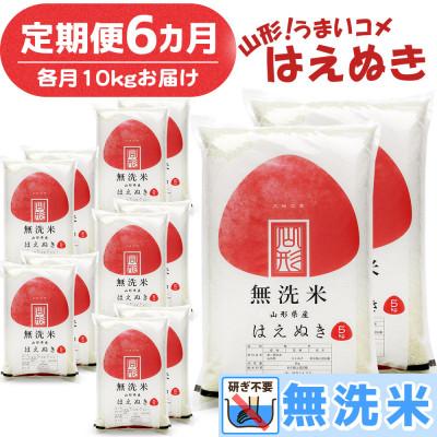 ふるさと納税 鶴岡市 【毎月定期便】山形県産 はえぬき 無洗米 10kg全6回