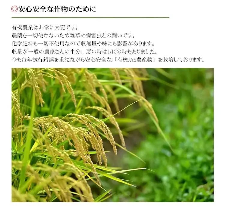【令和7年産】おやじの米 JAS有機栽培米 つや姫 白米 5kg　山形県鶴岡産　鈴木農産企画