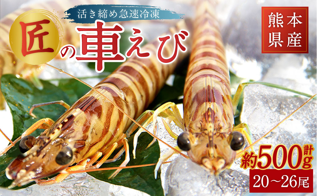 熊本県産匠の車えび（活き締め急速冷凍）約250g×2パック（20～26尾） 合計約500g