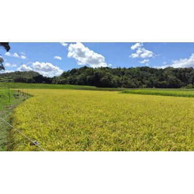 ふるさと納税 京丹後市 【令和7年産 先行予約】京都 丹後産コシヒカリ(玄米5kg)農家直送つやつやもっちり、京の米