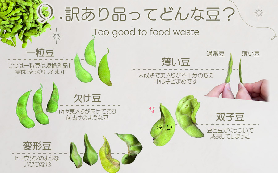 【令和8年産先行予約】【訳あり】白山だだちゃ豆　4kg（1kg × 4袋）　長五郎