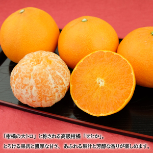 【せとか】 【2027年2月中旬頃から順次発送】 せとか 1.5kg（M?3L）｜ 【SSK015】