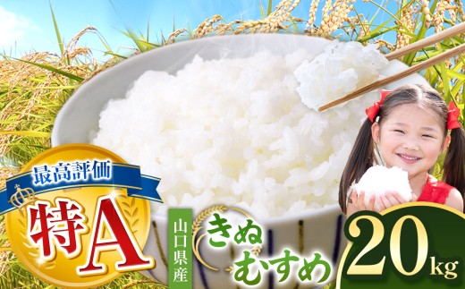 令和7年度産 きぬむすめ 白米 20kg ＜ 2026年3月上旬 〜 順次発送予定  ＞ ｜ 精米 白米 米 雑穀 お米 コメ 単一米 きぬむすめ 絹娘  山口 美祢 秋吉台  20kg